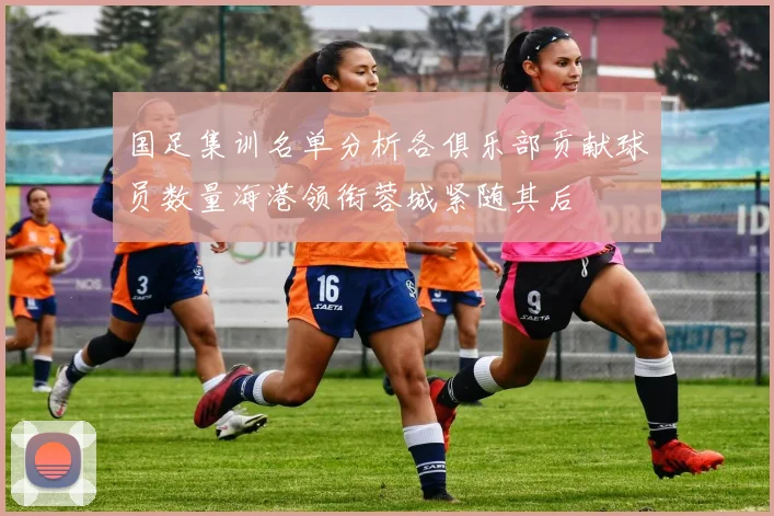 国足集训名单分析各俱乐部贡献球员数量海港领衔蓉城紧随其后